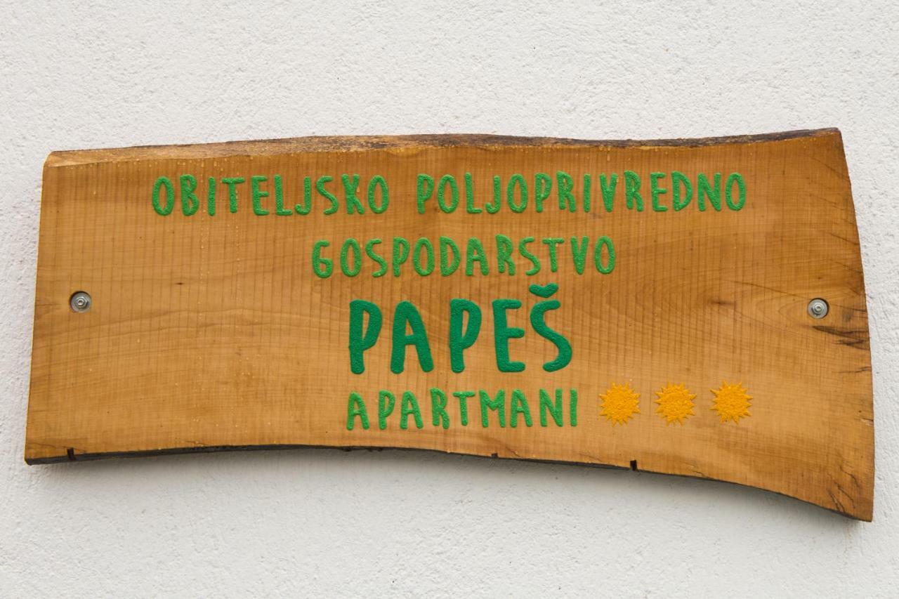קרפינה Apartmani Papes מראה חיצוני תמונה